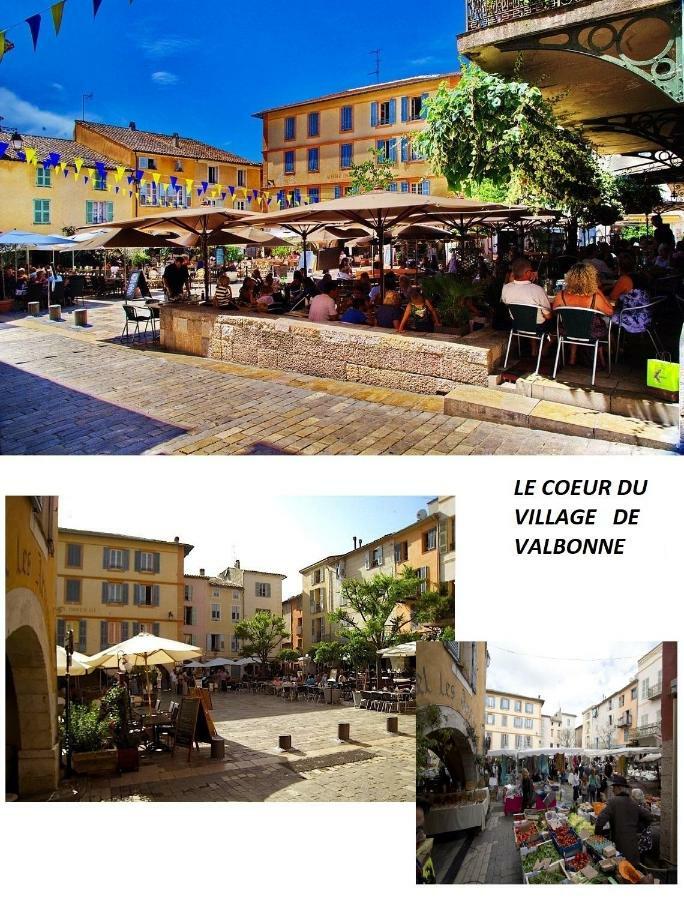 Les Chenes Verts Valbonne Eksteriør billede
